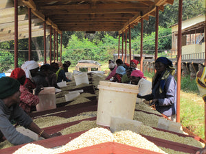 Estación de lavado Ngila Estate en Tanzania, 