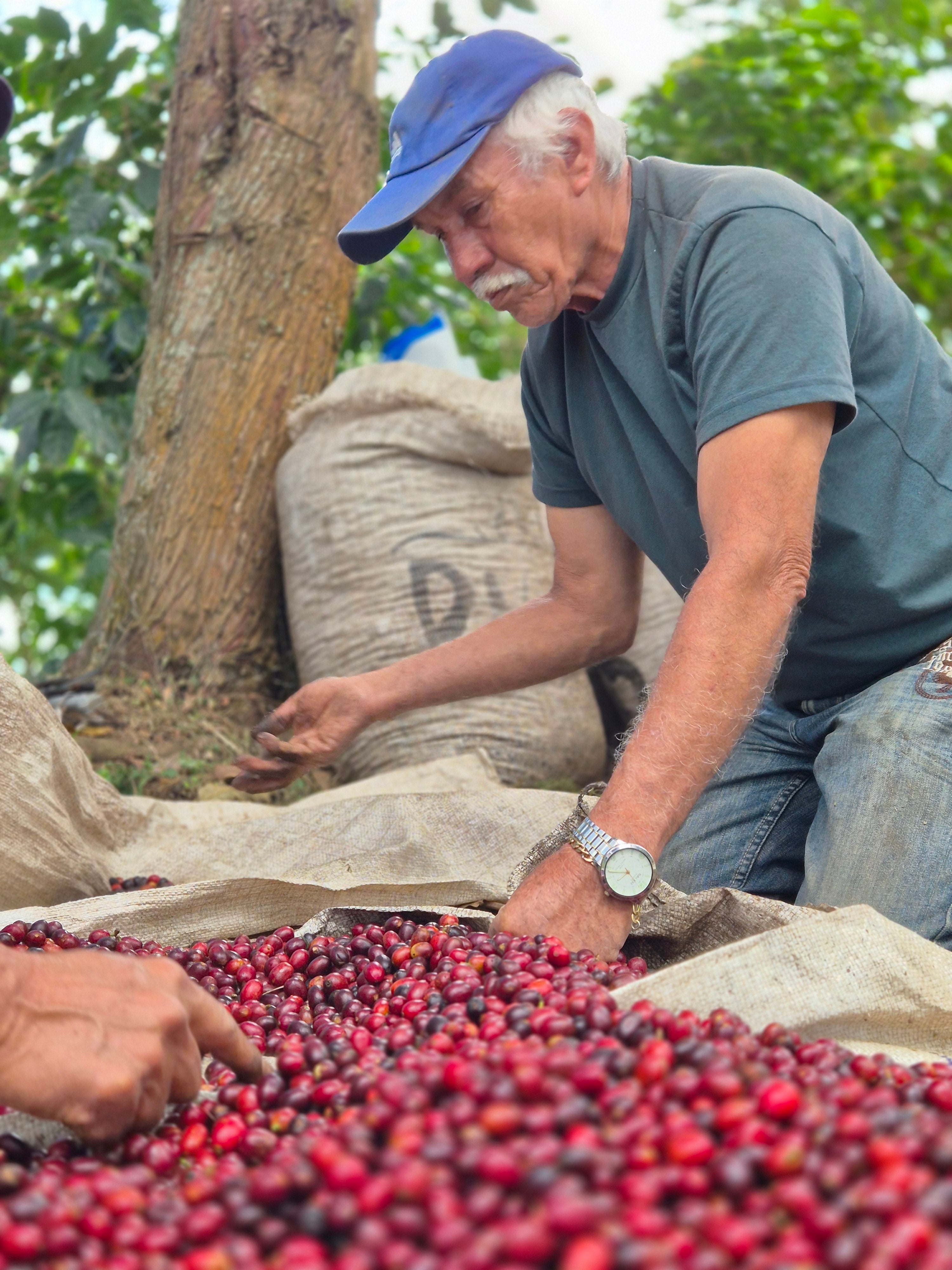 Productor de café del El Salvador  en Su finca el retiro 