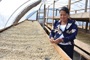 Dely Suyapa Matute junto a las camas Africanas donde se secan los granos de café en su finca las manzanas 
