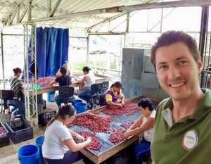 Jairo López en su finca la
Estrella en Colombia, controlando la fase de selección de las cerezas de café 