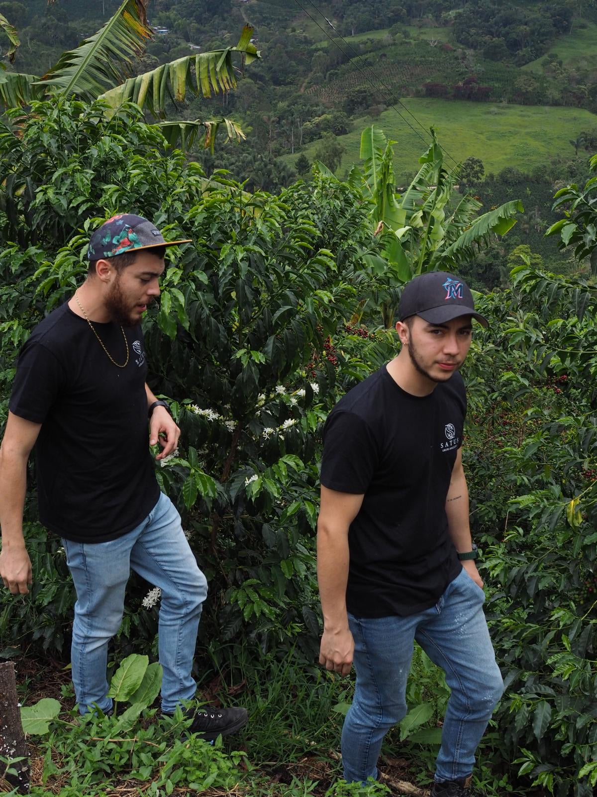 Agricultores del grupo satus, junto a los arbustos de café en la finca satus en Colombia 
