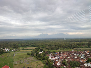 Plantación de café en Indonesia, finca ijen 