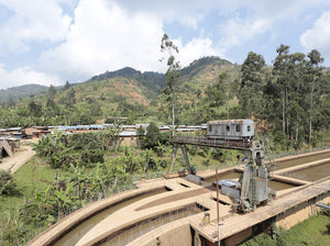 Estación de lavado migoti hill en Burundi, finca masenga 