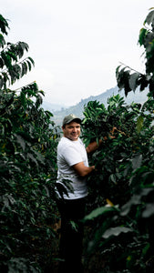 Wilder lazo junto a un arbusto de café en su finca bella Alejandría en Colombia 