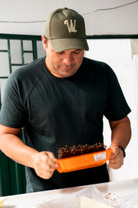 Wilder lazo enfriando si café recién tostado para realizar el control de calidad en su finca bella Alejandría en Colombia 