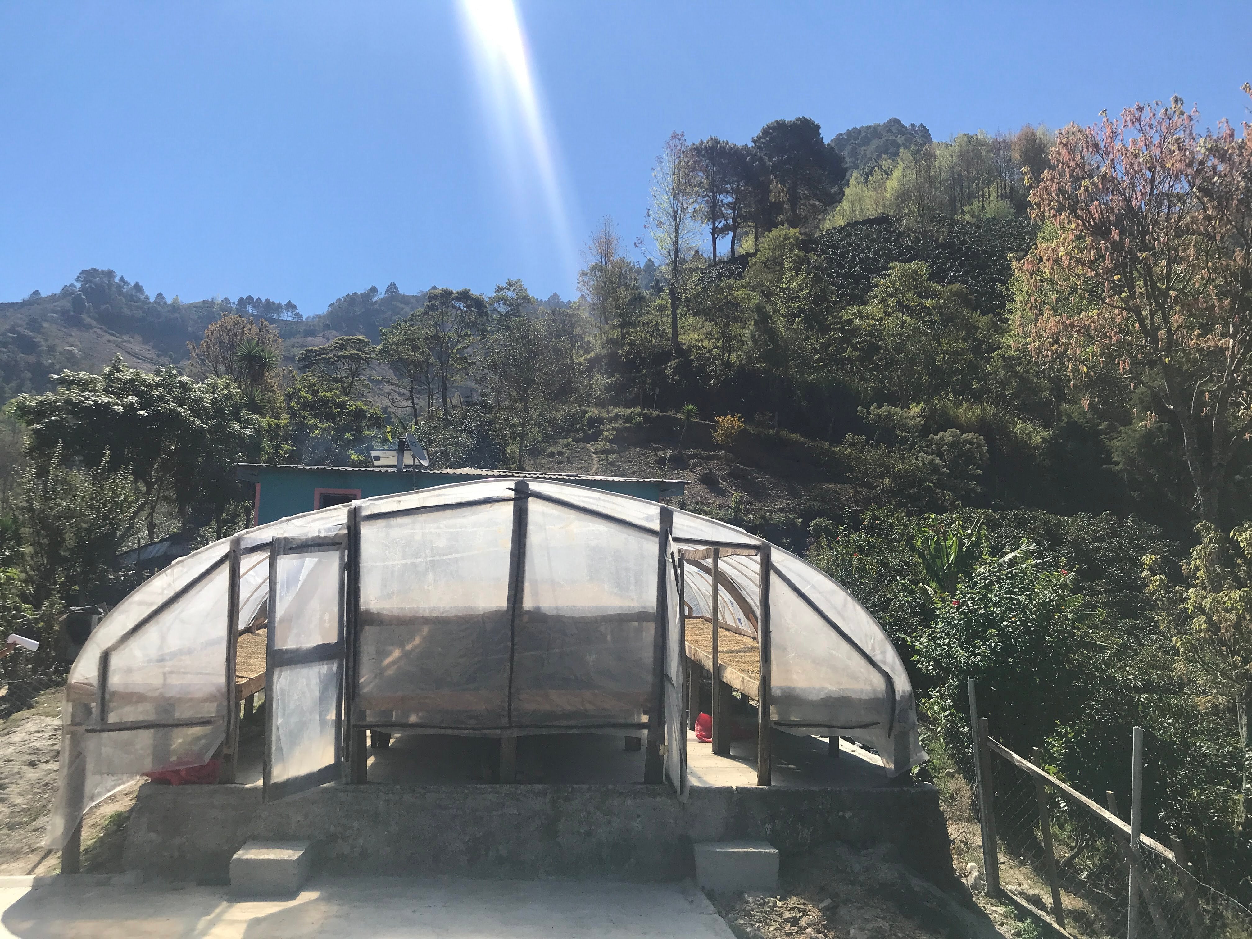 Finca las manzanas en Honduras 