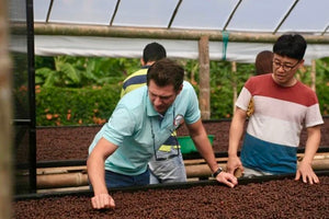 Jairo López controlando el secado de las cerezas de café en su finca la estrella en quindio, en Colombia 