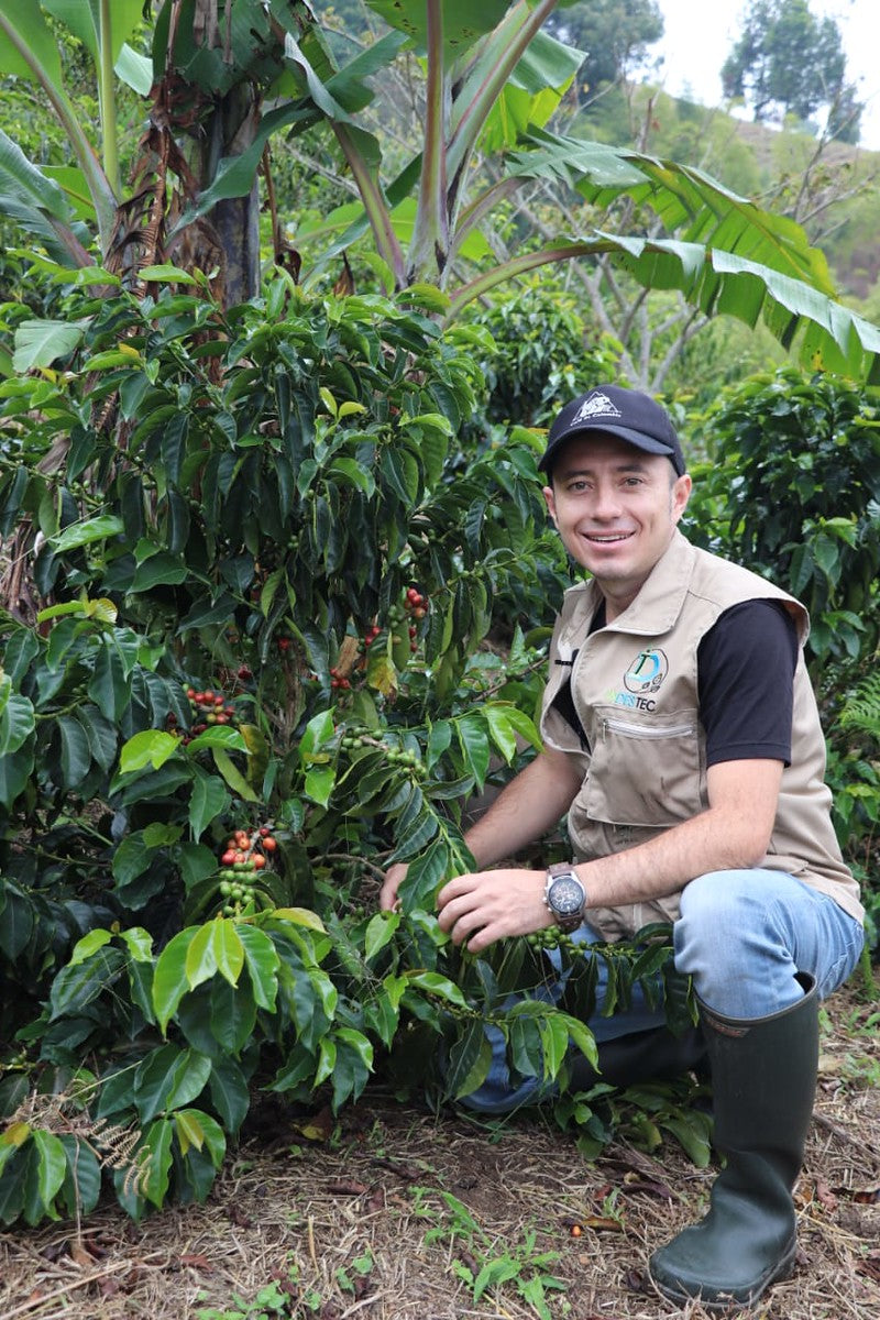 Diego Samuel Bermúdez junto a un arbusto de café en su finca el paraíso en Colombia 