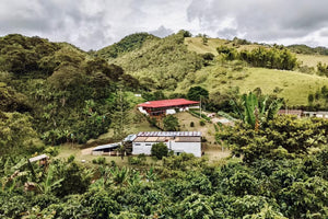 Finca la Mina en Colombia en quindio 