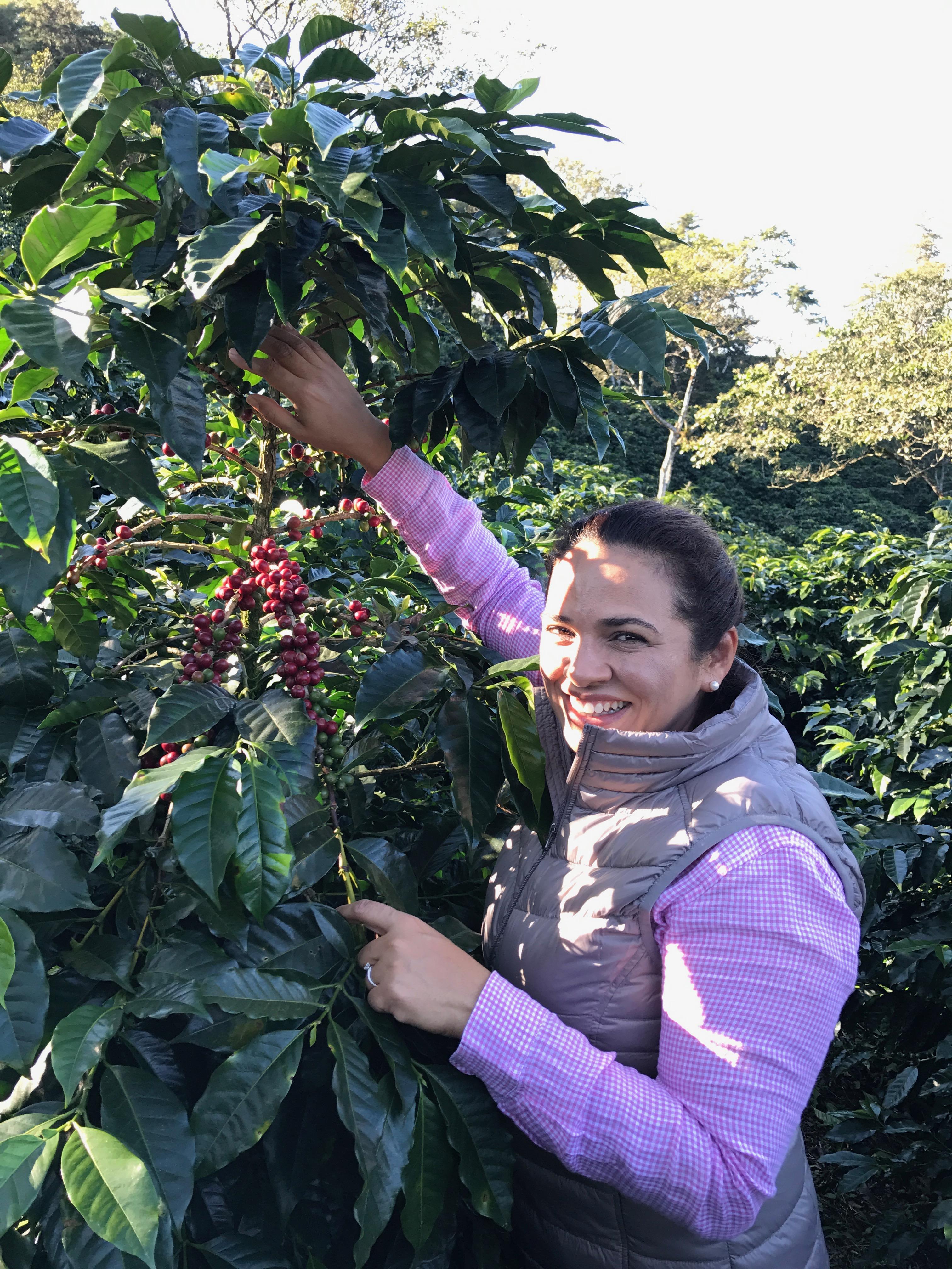 La señora caballero junto a sus n arbusto de café en su finca la quebrada en Honduras 