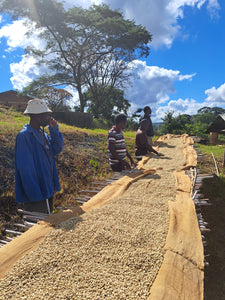 Agricultores de Malawi junto a las camas africanas donde se secan los granos en pergamino e. Phoka hills 