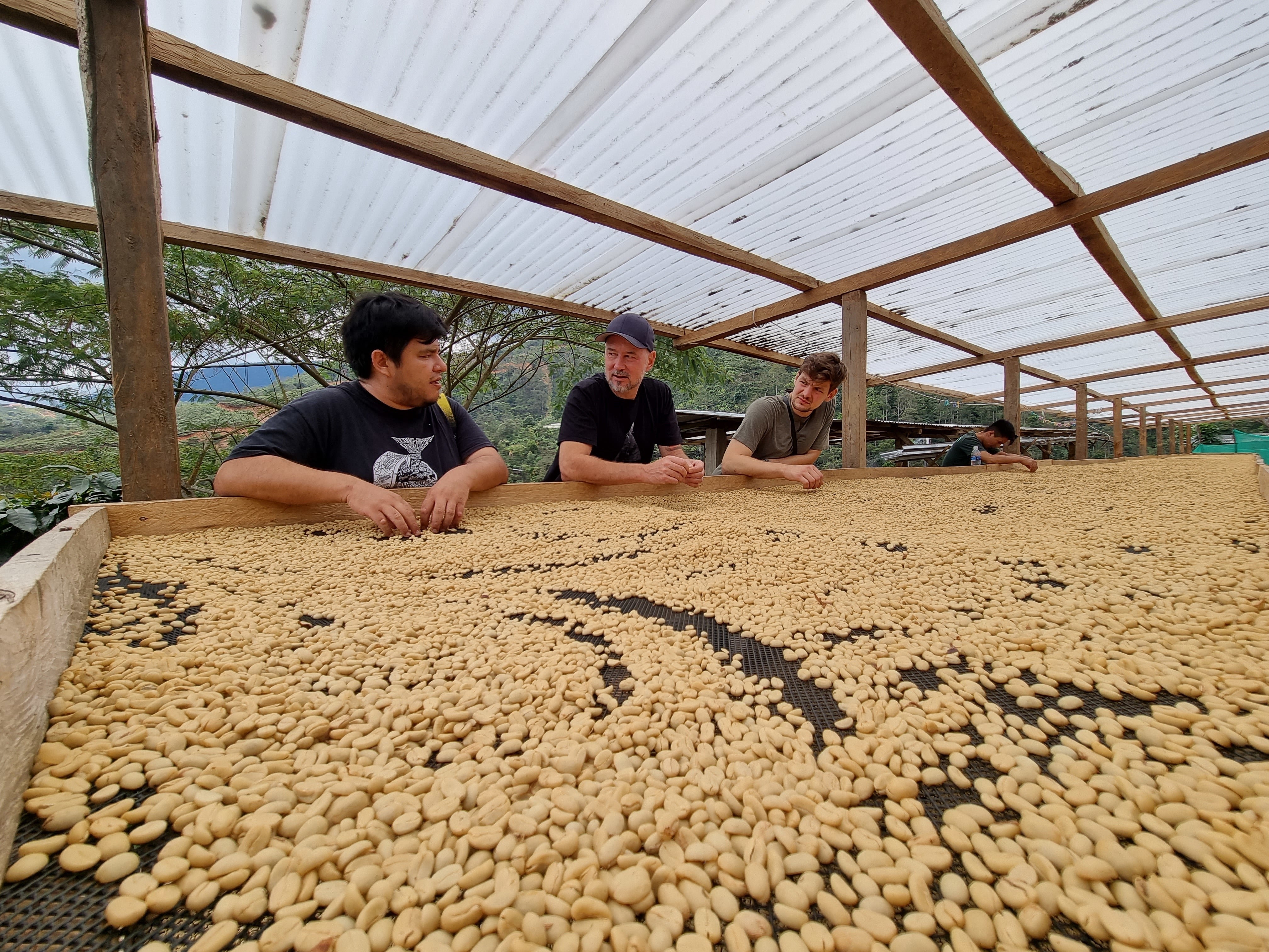 Nicolás Chicon en su finca la conquista junto a las camas acicalas donde se secan los granos de café en peru 