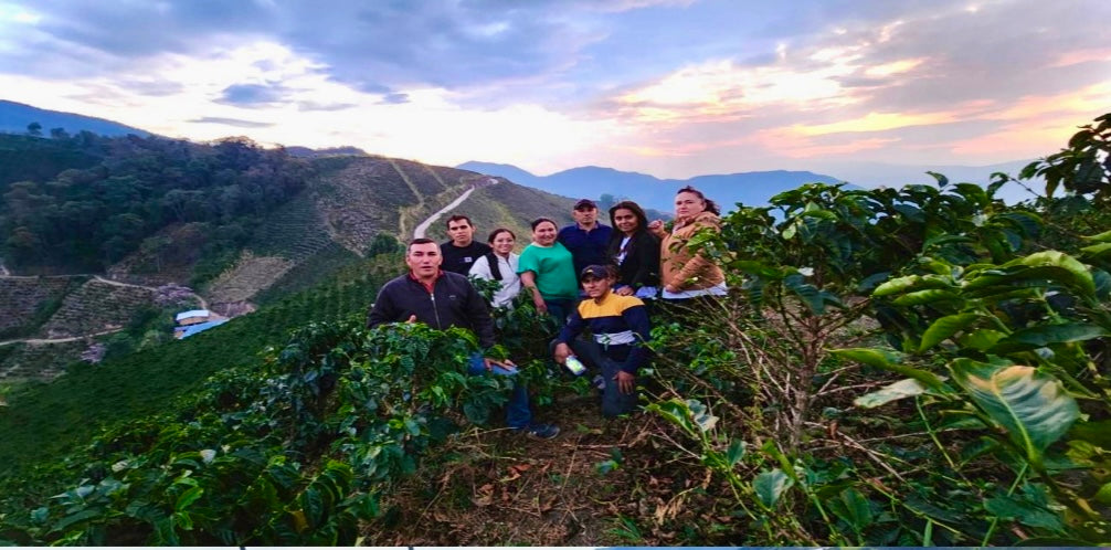 Agricultures de Colombia en su finca el Miramar 