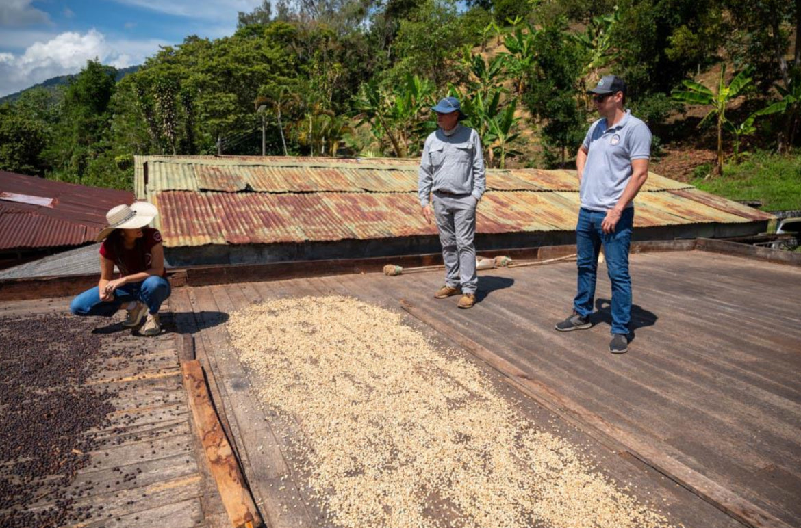 Estación de lavado y secado en Colombia finca andaluz en la región de quindio 