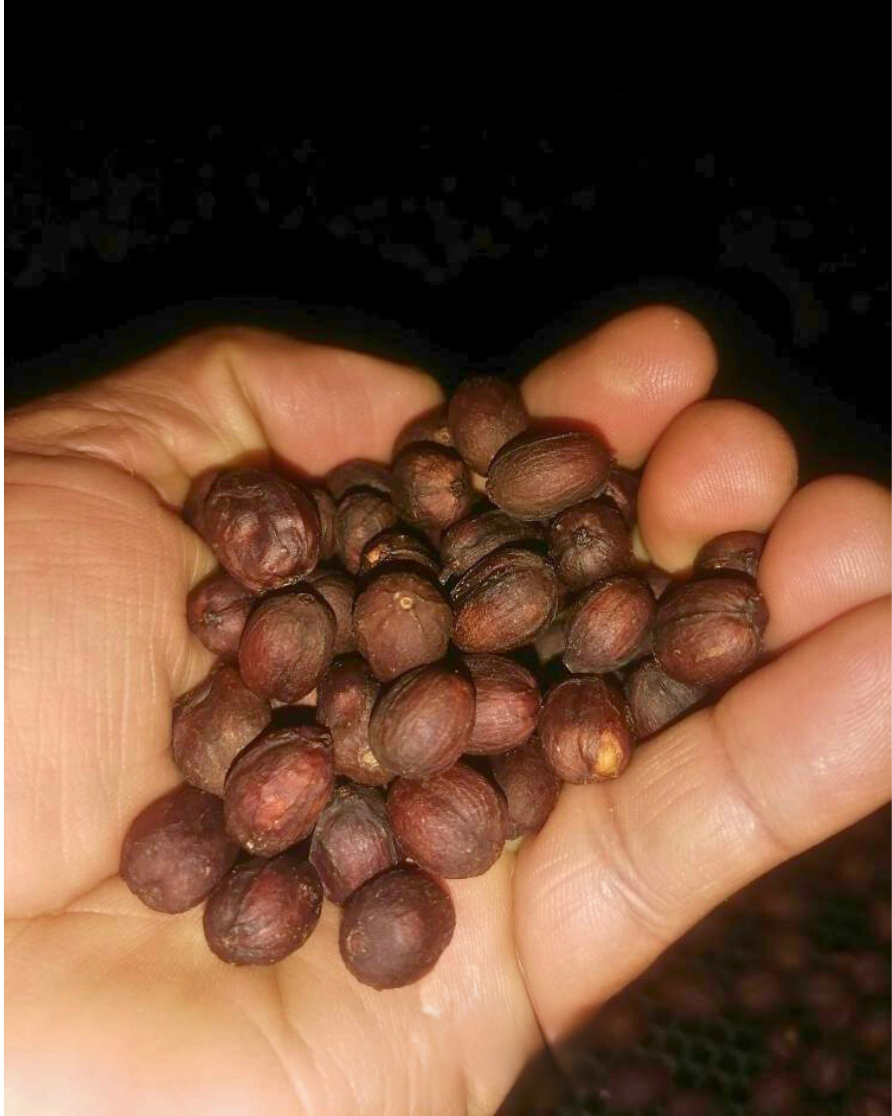 La Despreciada. Café de Perú