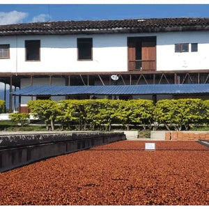 Patios de secado del café en Colombia,
Finca la pradera 