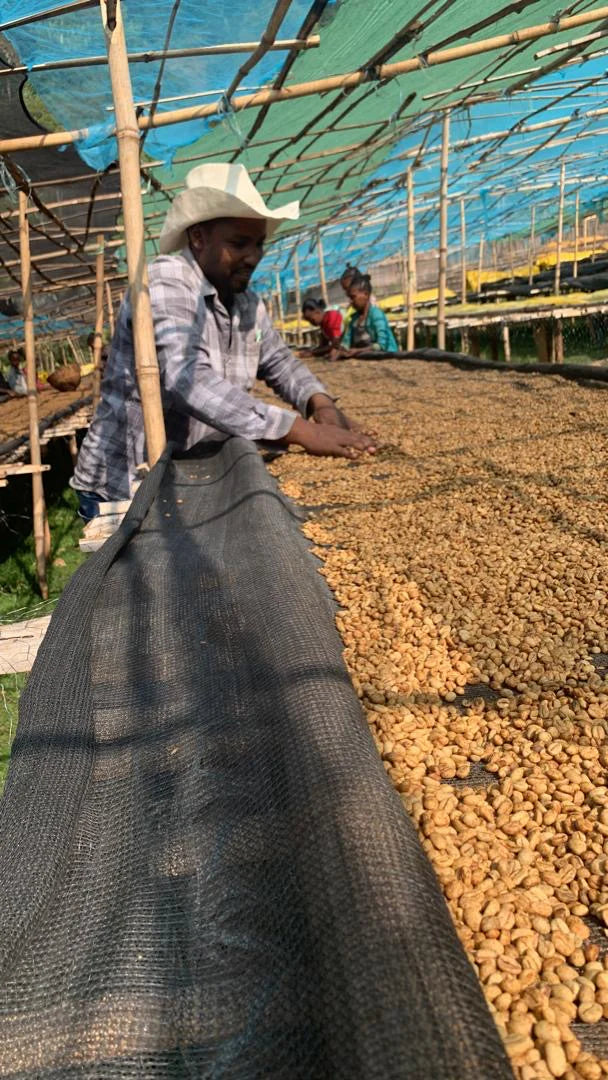 Basha Bekele en su finca en Etiopía 