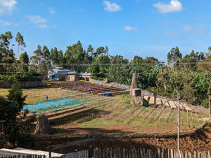 Estación de lavado de basha en Etiopía 