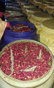 Cerezas de café junto con hojas de romero para ser fermentadas en tanques en chelchele en Etiopía.
