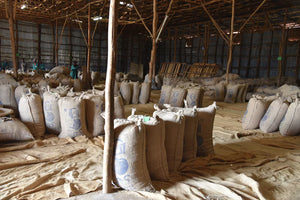 Sacos de café listos para su exportación en Etiopía, finca chelchele en la región de yorgacheffee.