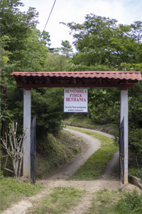 Finca de café bethania en Nicaragua 