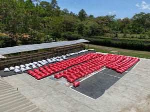 Estación de beneficio en honduras, finca betania 