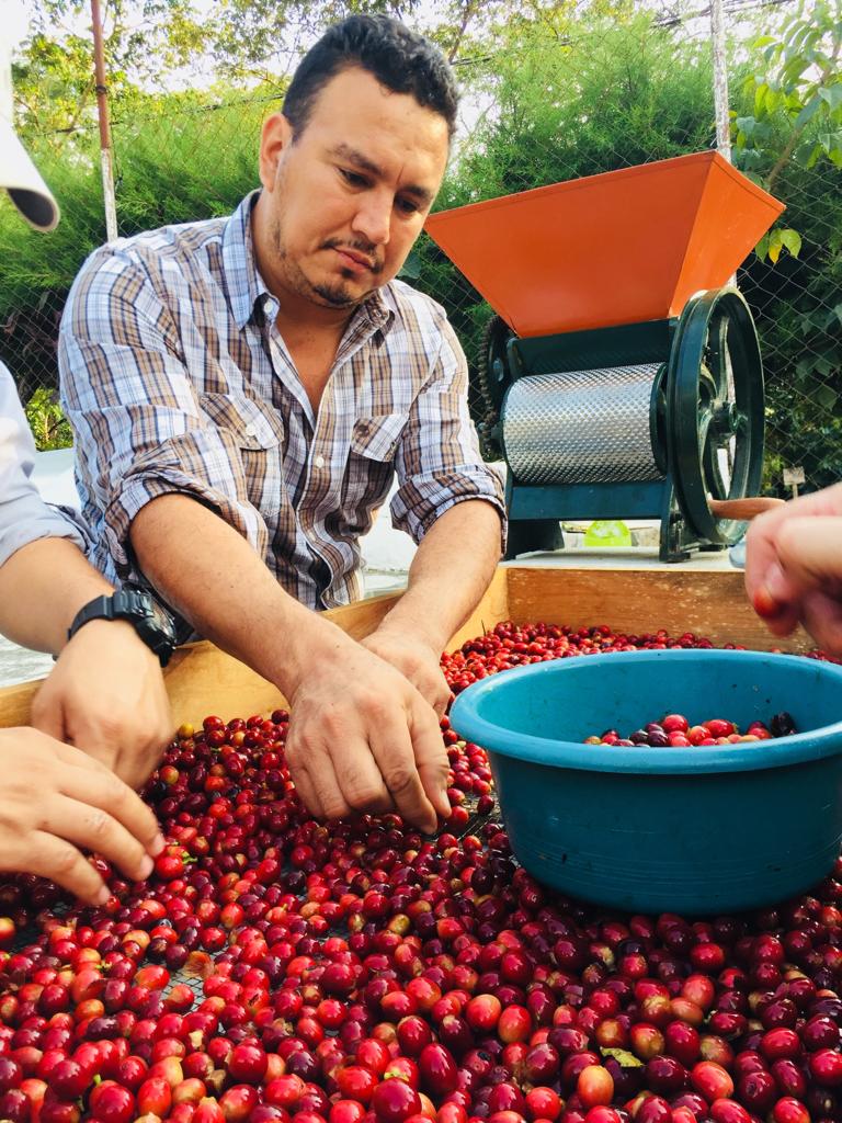 Isaura solares junto a la clasificación de las cerezas en su finca la cabaña en Guatemala 