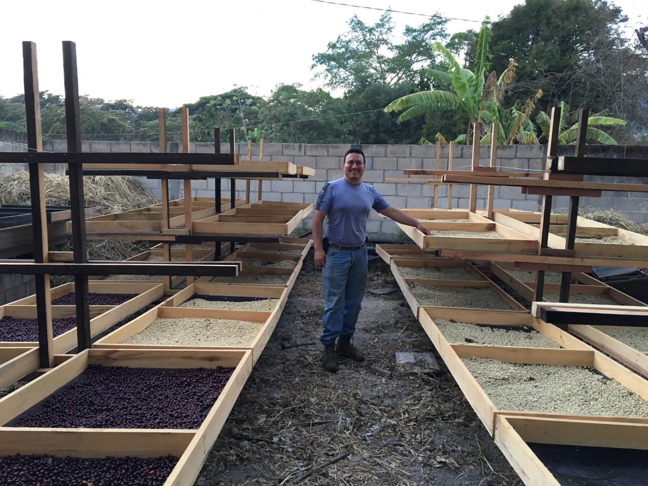 Isauro solares junto a las camas africanas donde se secan las cerezas de café 