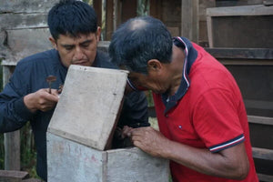 Agricultores de peru realizando control de calidad a las cerezas de café 