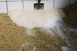 Cerezas de café recién despulpadas, con el mucílago en piscinas para pasar a la fermentación en la finca las lomas en Honduras 