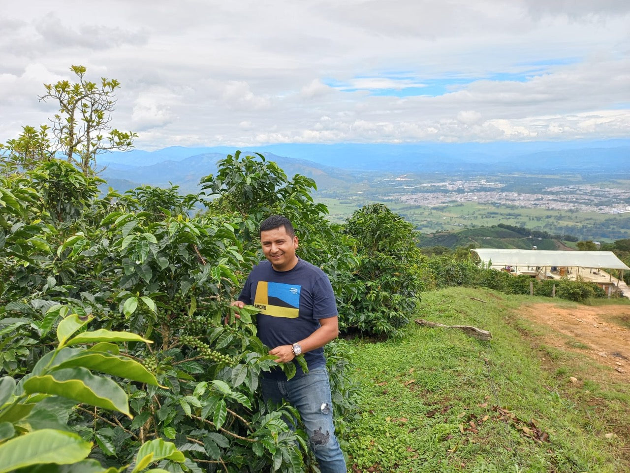 productor de cafe de colombia junto a un arbusto de cafe 