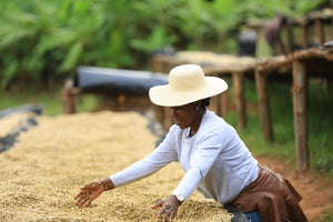 mujer de ruanda removiendo el cafe en pergamino en camas africanas