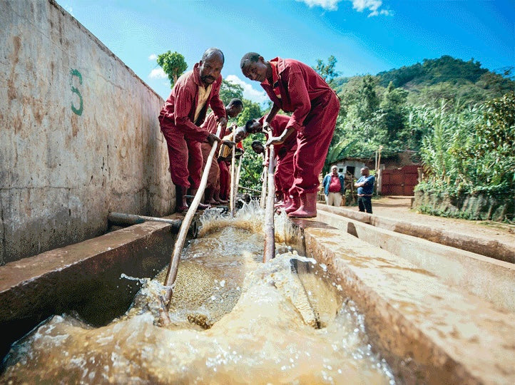 agricultores etiopes removiendo el cafe en canales de agua