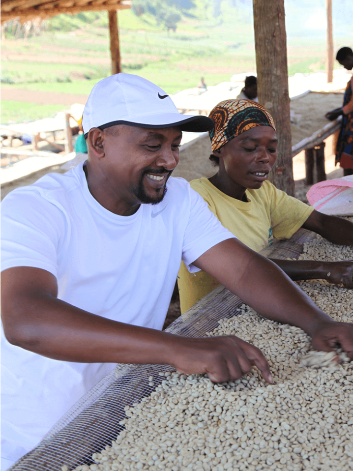 Productor de café de Burundi Salum Ramahdan, en el que se ve junto a una mujer seleccionando los granos de café ya lavados en la estación de Buzira, Burundi. Al fondo se ve paisaje verde con plantaciones de café. 