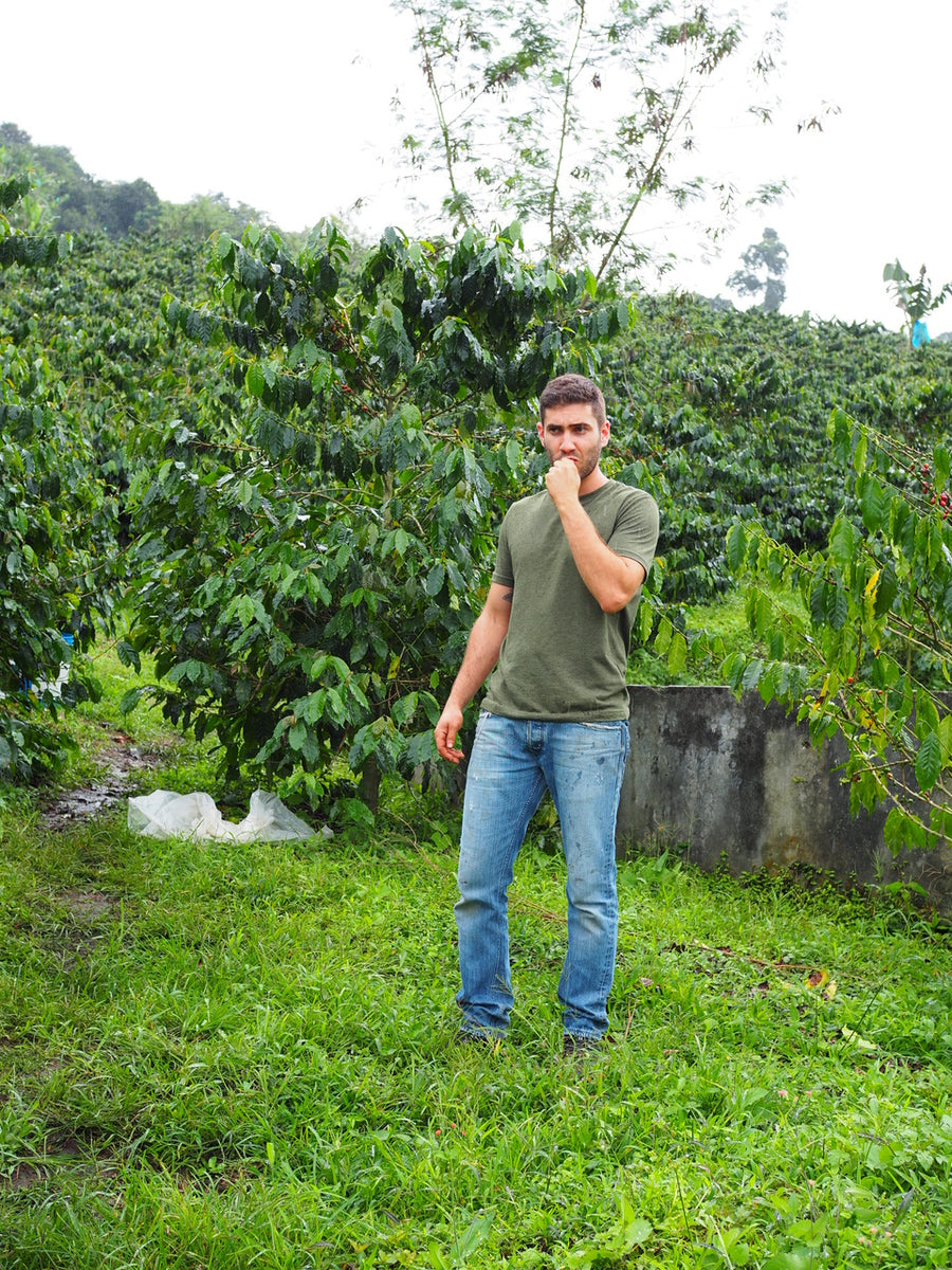Puerto Alegre. Java. Natural Fermentación Aneróbica. Café de Colombia ...