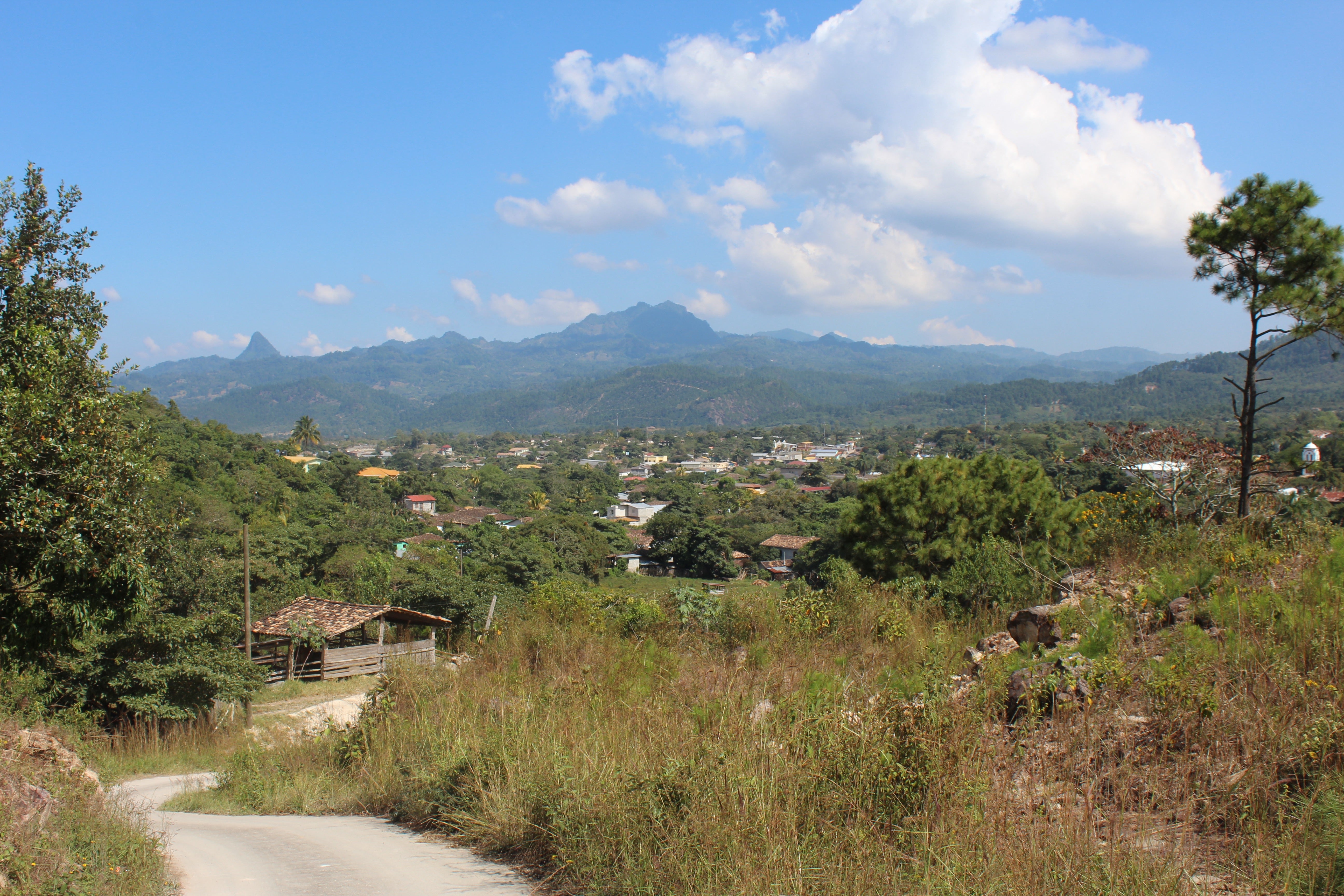Paisaje montañoso de Honduras desde la finca Finca de café el Supte en Honduras