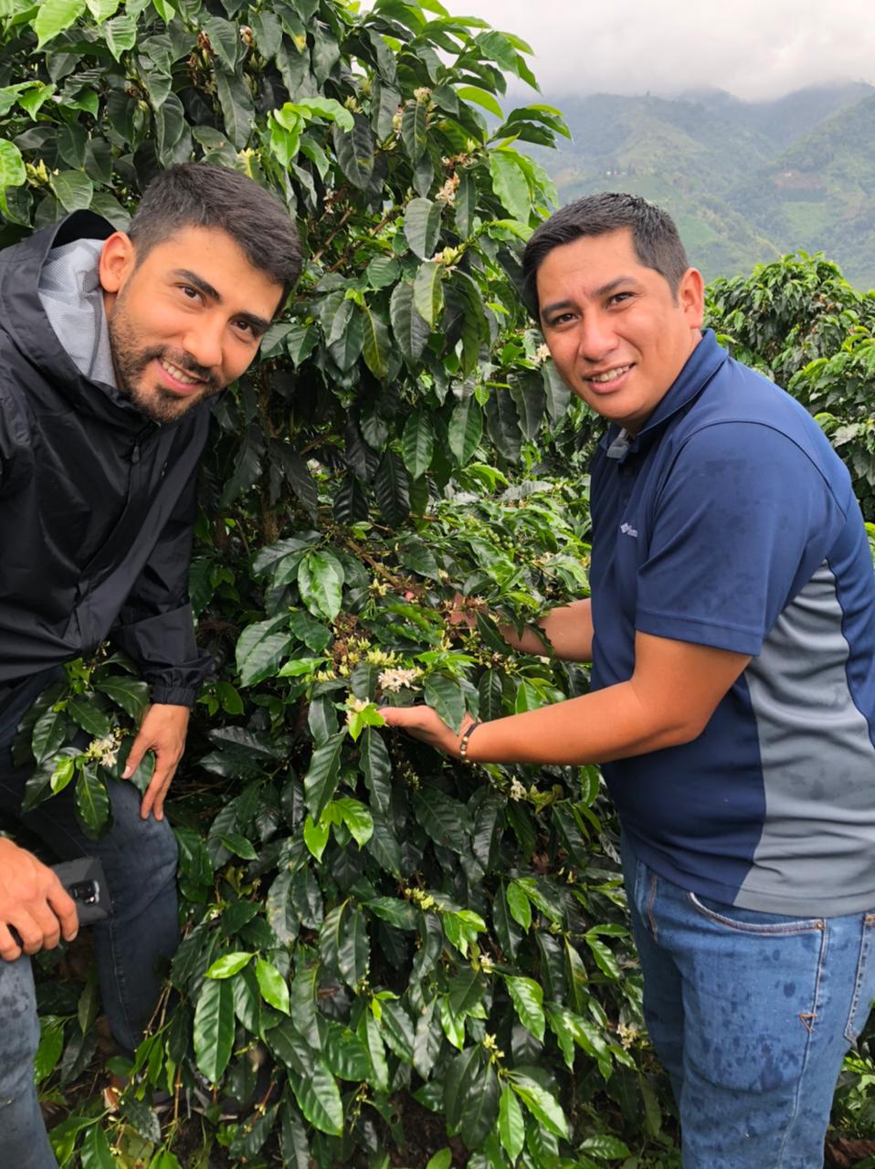 Productores del café de Colombia lavado Citrico del productor Rodrigo Sanchez Valencia de la Finca Monteblanco tostado en Málaga por Kima Coffee
