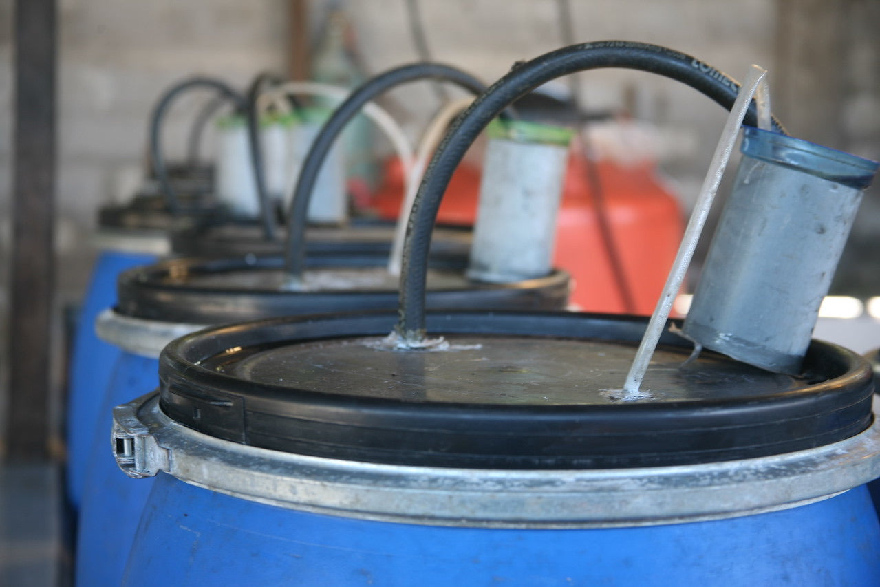 tanques de fermentacion regulados por una valvula de retencion para que no entre oxigeno