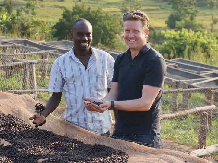 productor de burundi, cogiendo las cerezas de cafe secas